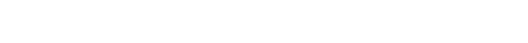 Network System & Penetration Testing